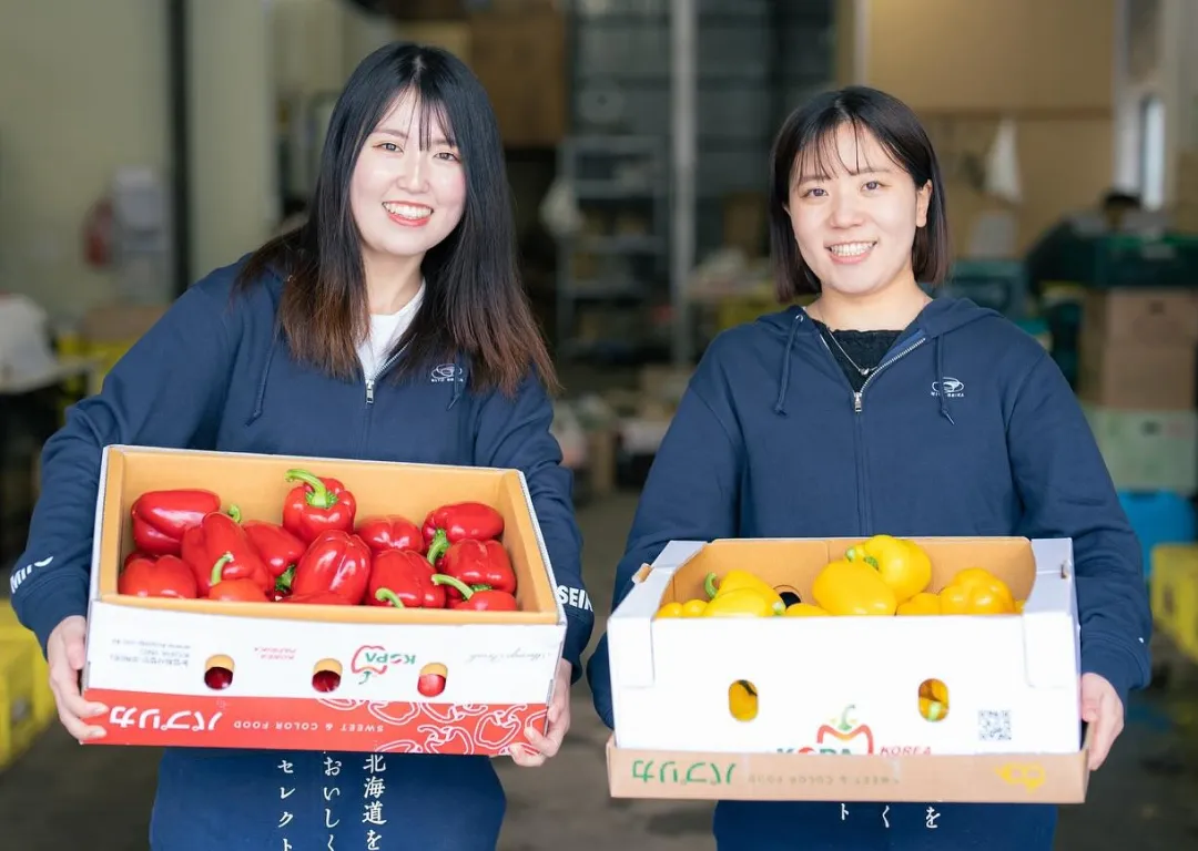 信頼と実績の「卸売事業」