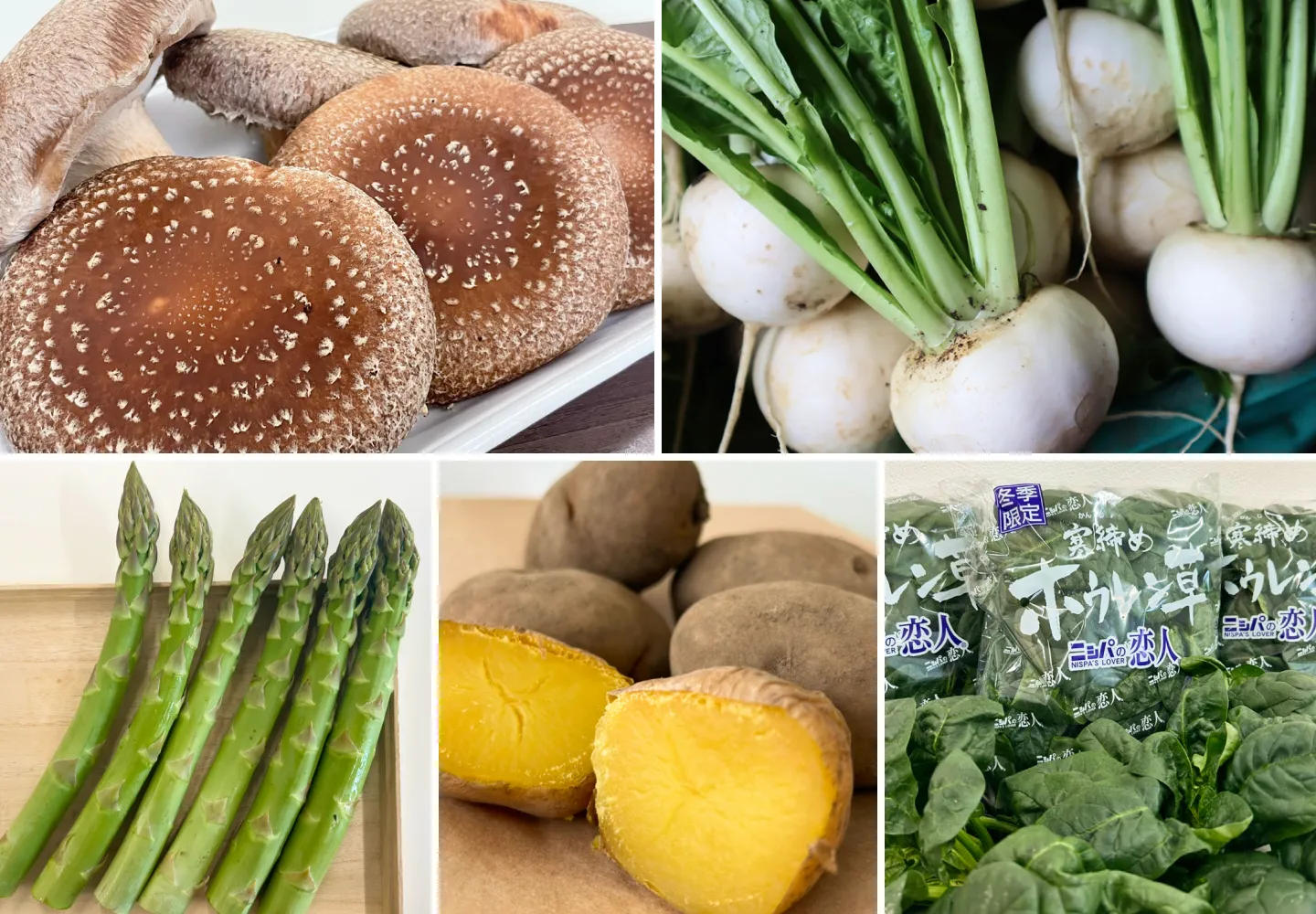希少な北海道産野菜を届ける産地直送のイメージ