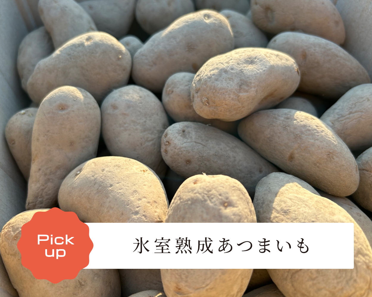 氷室熟成あつまいも