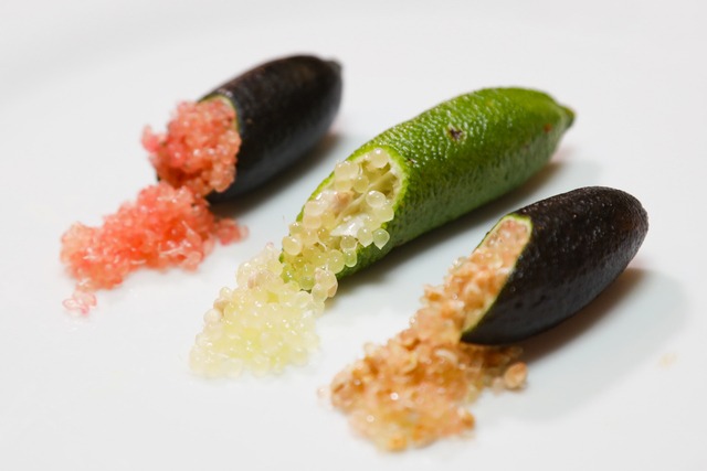 【森のキャビア】フィンガーライムはまずいって本当？！極上のプチプチ食感を楽しむ正しい食べ方と味の秘密