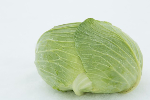 甘くてパリパリ食感な「越冬キャベツ」