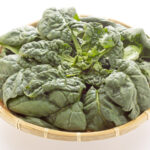 冬の寒さが旨みを極限まで引き出す！冬限定のちぢみ野菜の味が濃厚な理由