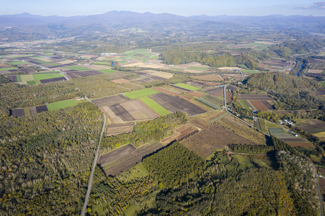 北海道はなぜ野菜の生産量が多いのか？日本一が生まれる3つの理由