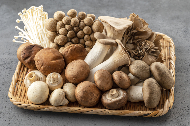 値段が高い時こそ活用したい！価格が安定している野菜