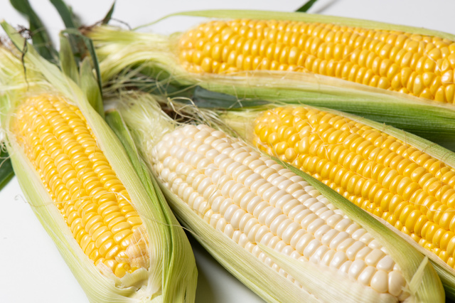 北海道の産地別、地域でとれる野菜の特徴