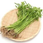 北海道から新鮮で希少な野菜・果物をお届け！「水戸青果」 北海道札幌市の「水戸青果」は、1980年の創業以来、鮮度と品質にこだわった選りすぐりの青果をお届けしてきました。 珍しい野菜や希少な品種も扱い、生産者の想いと食材の魅力を丁寧に繋ぐことを使命としています。 今後も料理人の皆様と共に歩むパートナーとして、新しい価値を創り出す「北海道No.1の青果店」を目指し続けます。 卸売販売について > 「こんな野菜はないか？」「新しい仕入れ先を検討している」「珍しい食材について話を聞いてみたい」など、どんな些細なことでも構いません。 ぜひ一度、水戸青果までご相談ください。 お問い合わせはこちら >