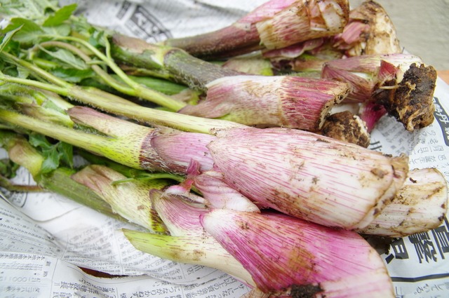 飲食店が北海道からうどを取り寄せるメリットと選び方