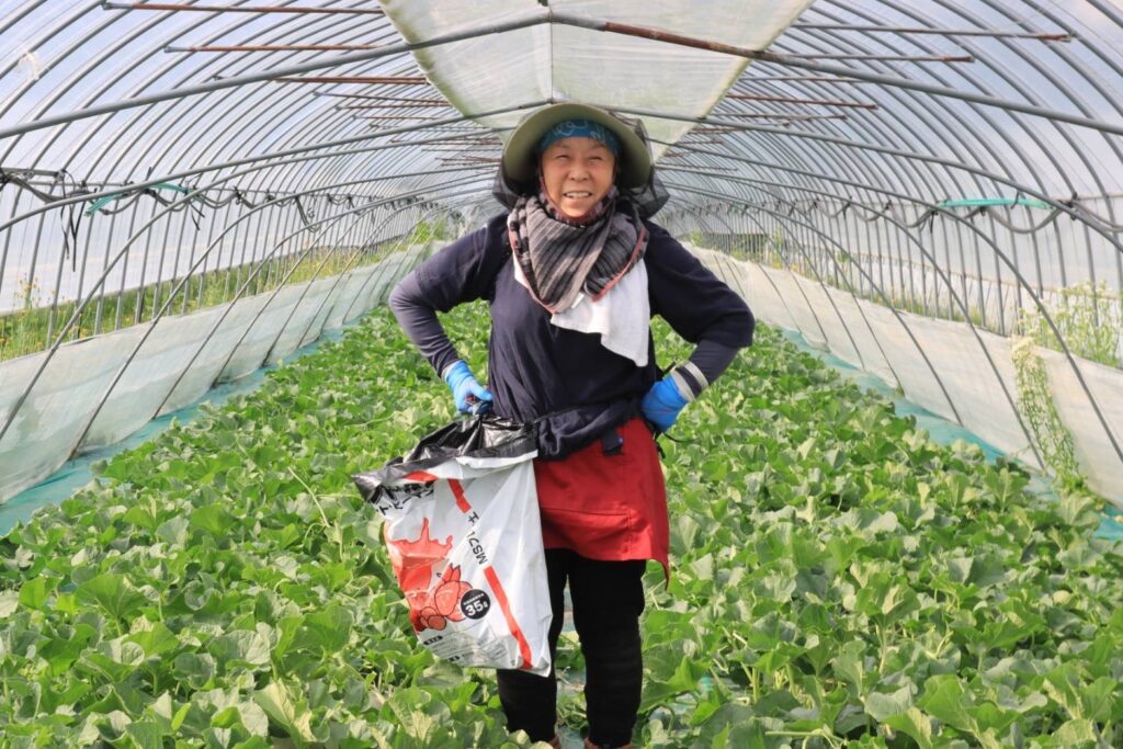 手間ひまを惜しまない「不耕起栽培」への挑戦