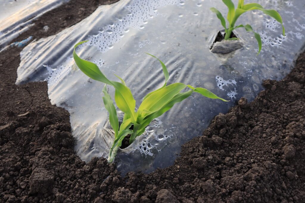 圧倒的な規模と「鮮度」への徹底したこだわり