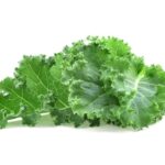生のケールはどこで買える？スーパーや札幌の卸売など確実な購入先