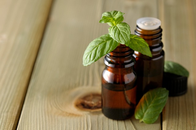 厨房ですぐ実践できる！スペアミントの鮮度を長持ちさせる正しい保存方法