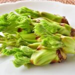 春の山菜「タラの芽」活用ガイド｜利益を出せる選び方とメニュー戦略