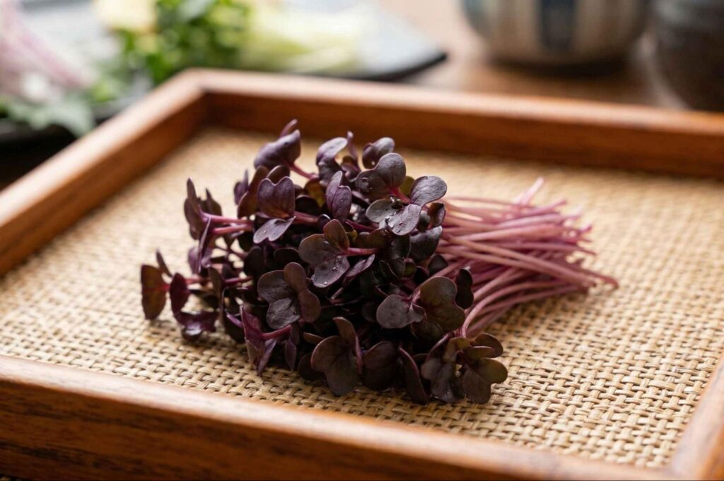 飲食店・ホテル向け「紫芽（むらめ）」の業務用仕入れにおける基本知識