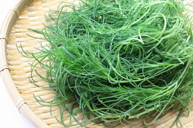 おかひじきとは？｜海藻ではなく山形発祥の「野菜」！