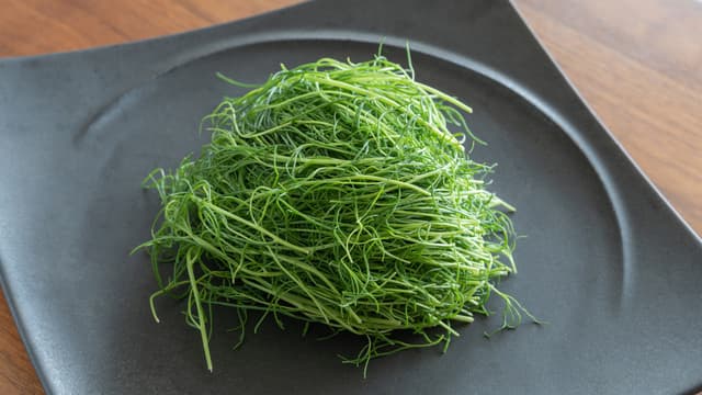 おかひじきはどこで買える？