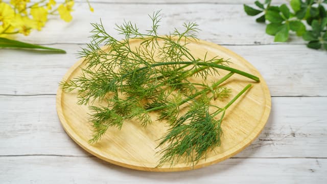 魚料理を格上げする香草「ディル」とは？使い方と鮮度低下を防ぐ仕入れ方