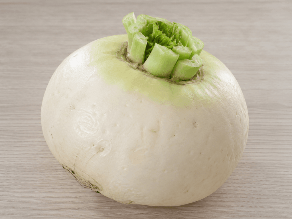 聖護院だいこん