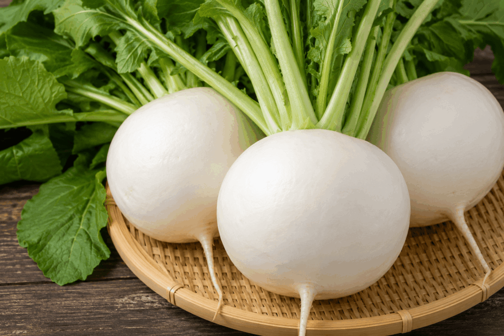 煮ても焼いても絶品!京野菜「聖護院大根」とは?|かぶとの違いや食べ方